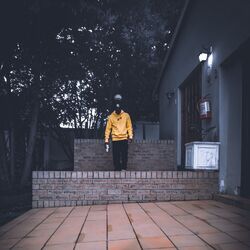 Cover of Molweni