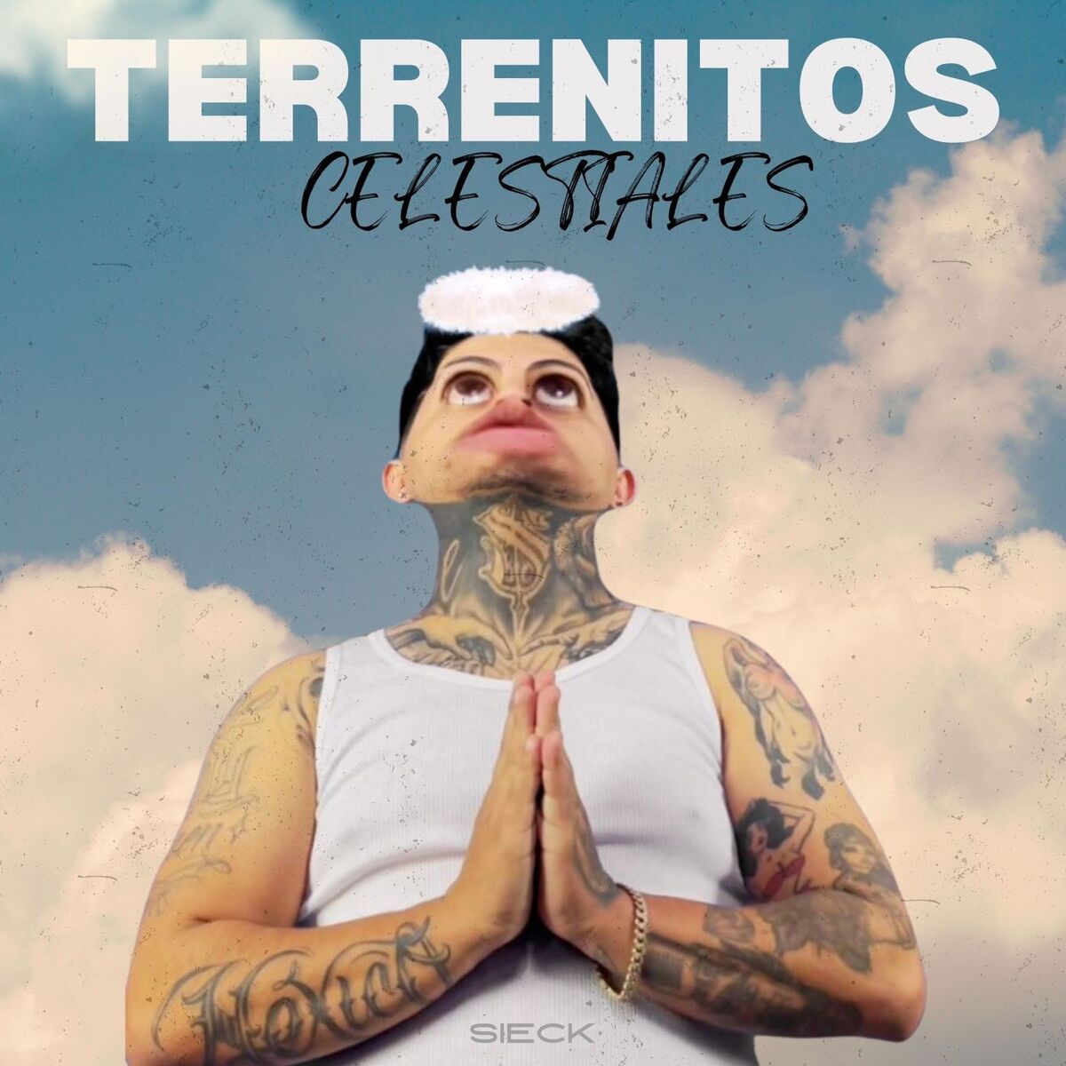 Album cover of Terrenitos Celestiales