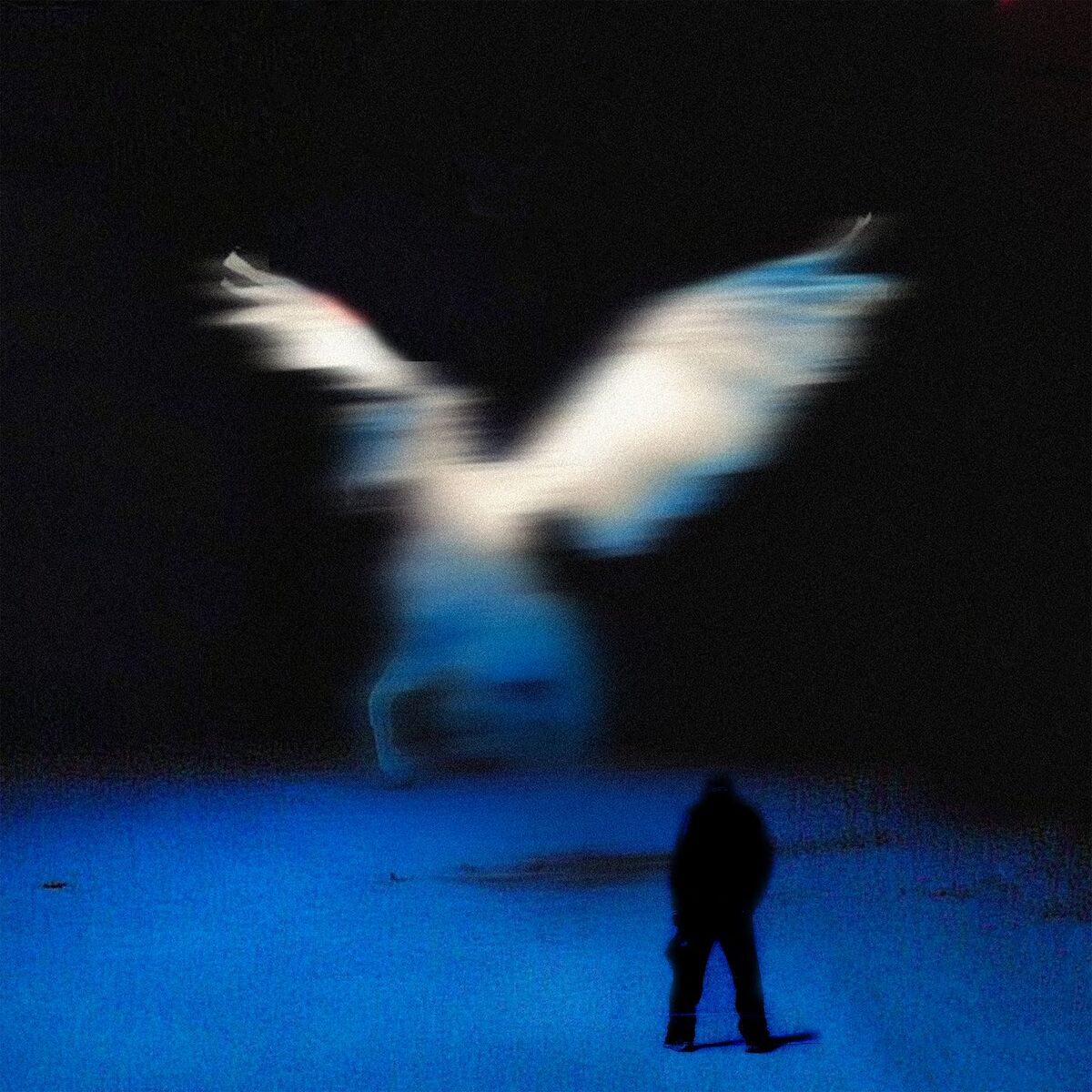 Album cover of PEGASE