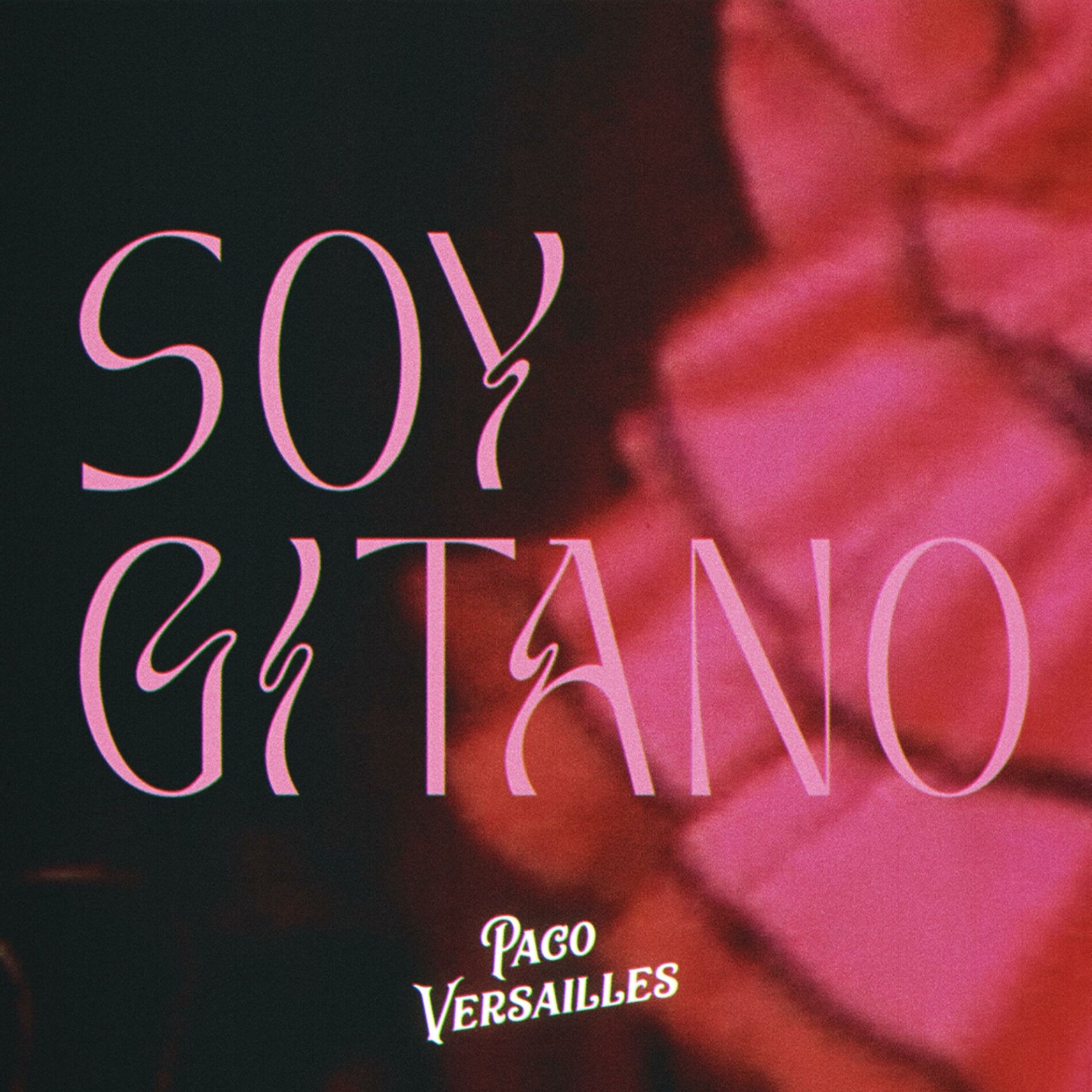 Album cover of Soy Gitano EP