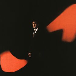 Cover of When the Lights Go