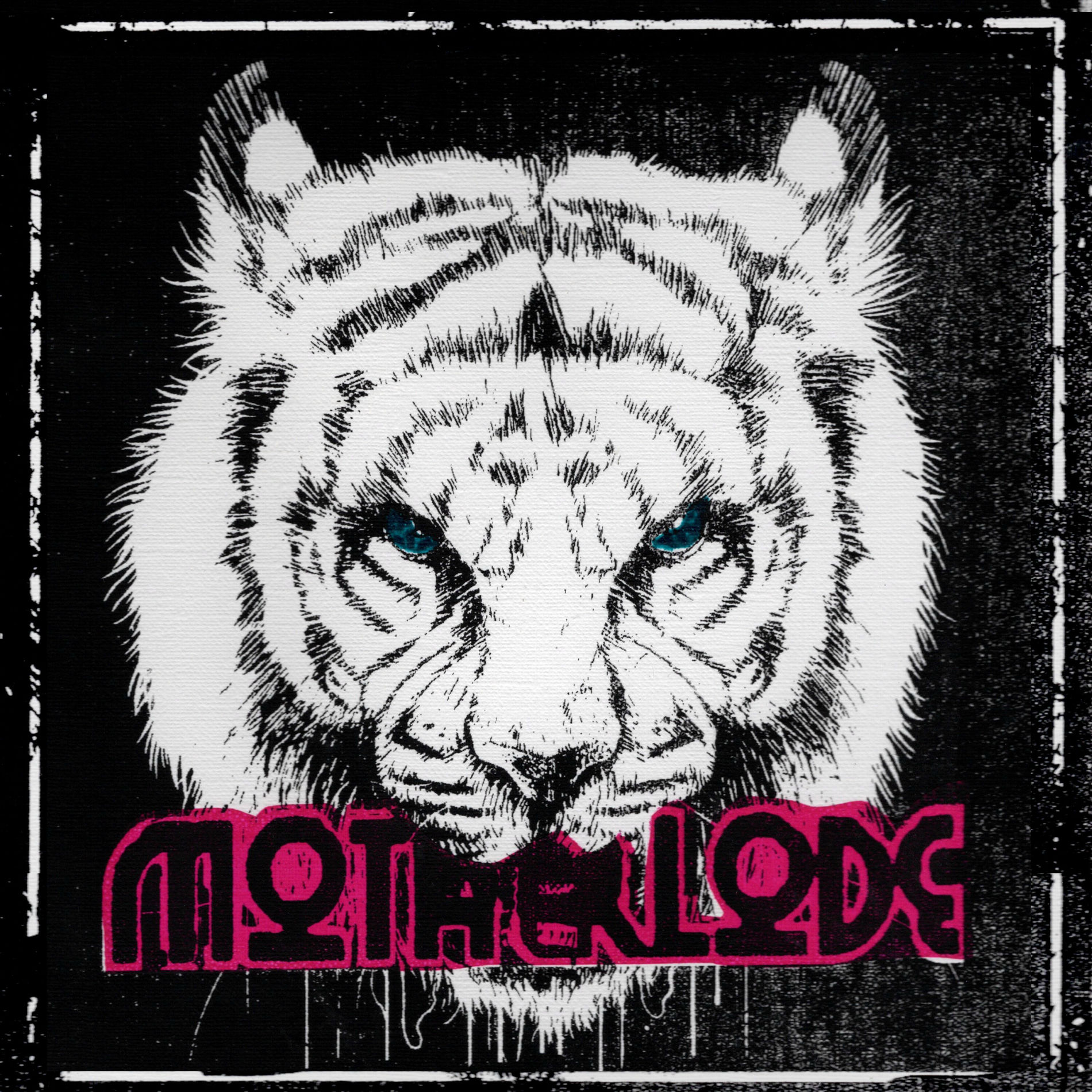 Album cover of Cats Gone Mad