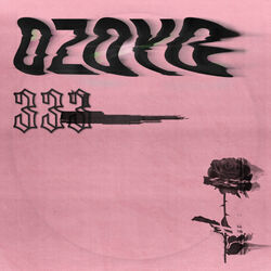 Cover of 333