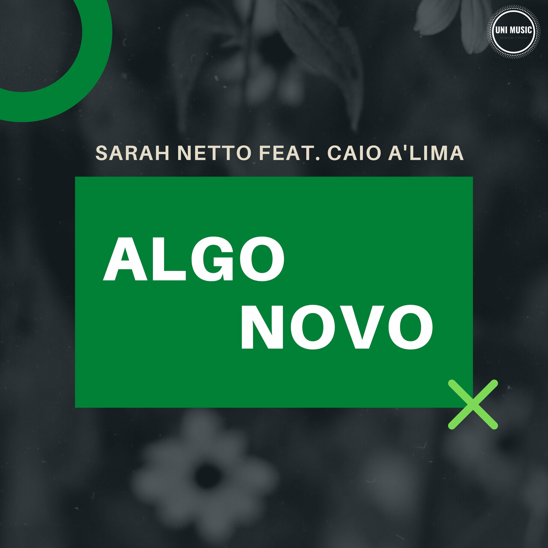 Album cover of Algo Novo