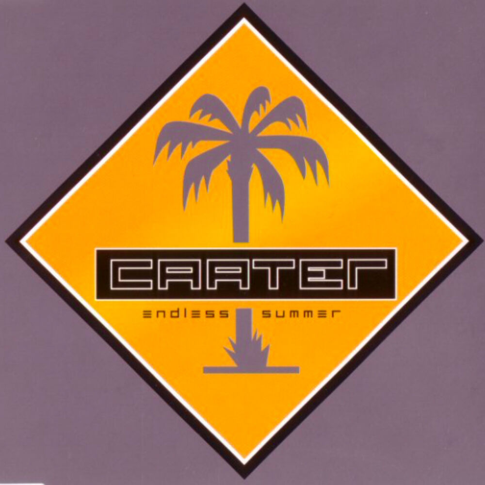 Picture of Endless Summer (Extended version)