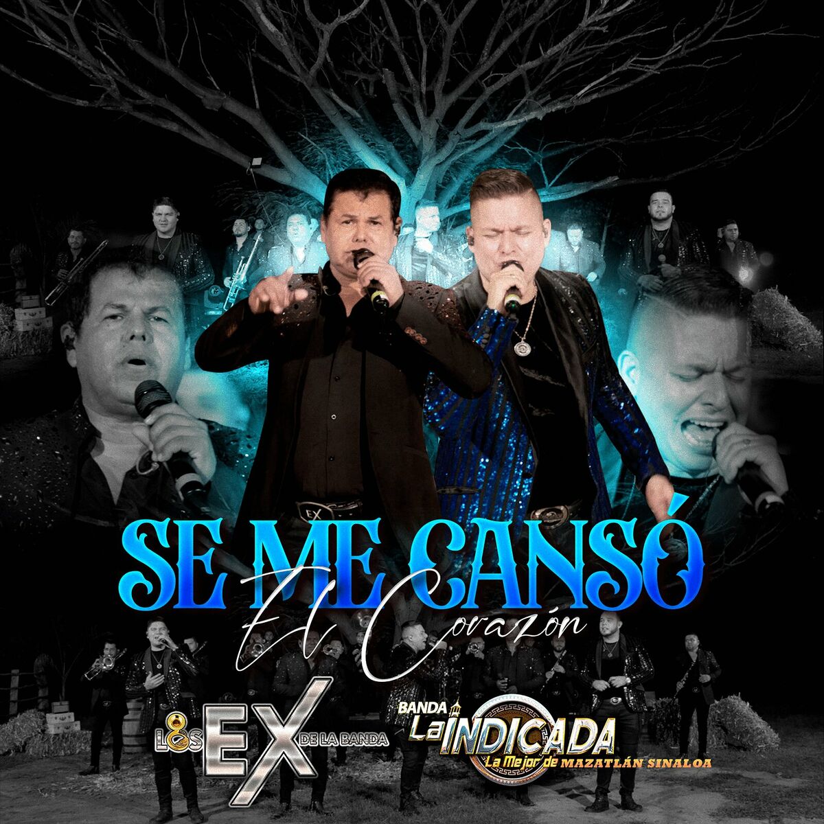 Album cover of Se Me Cansó El Corazón