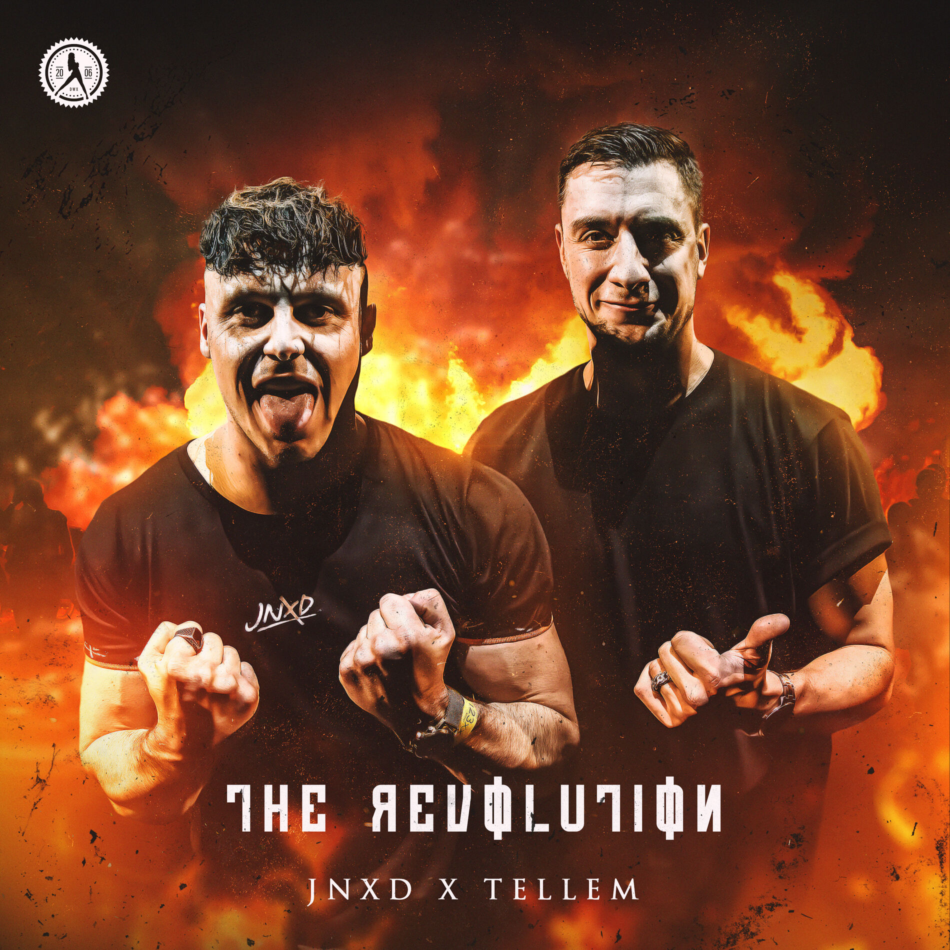 Album cover of The Revolution