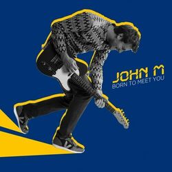Cover of Born to Meet You