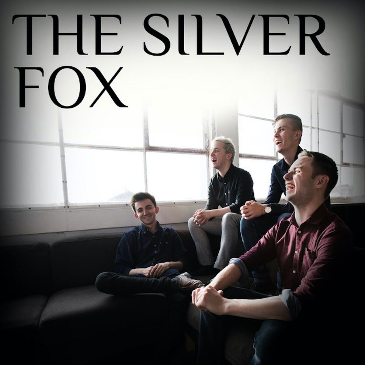 Album cover of The Silver Fox