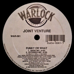 Cover of Funky or What