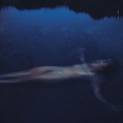 Cover of Parfum