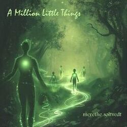 Cover of A Million Little Things