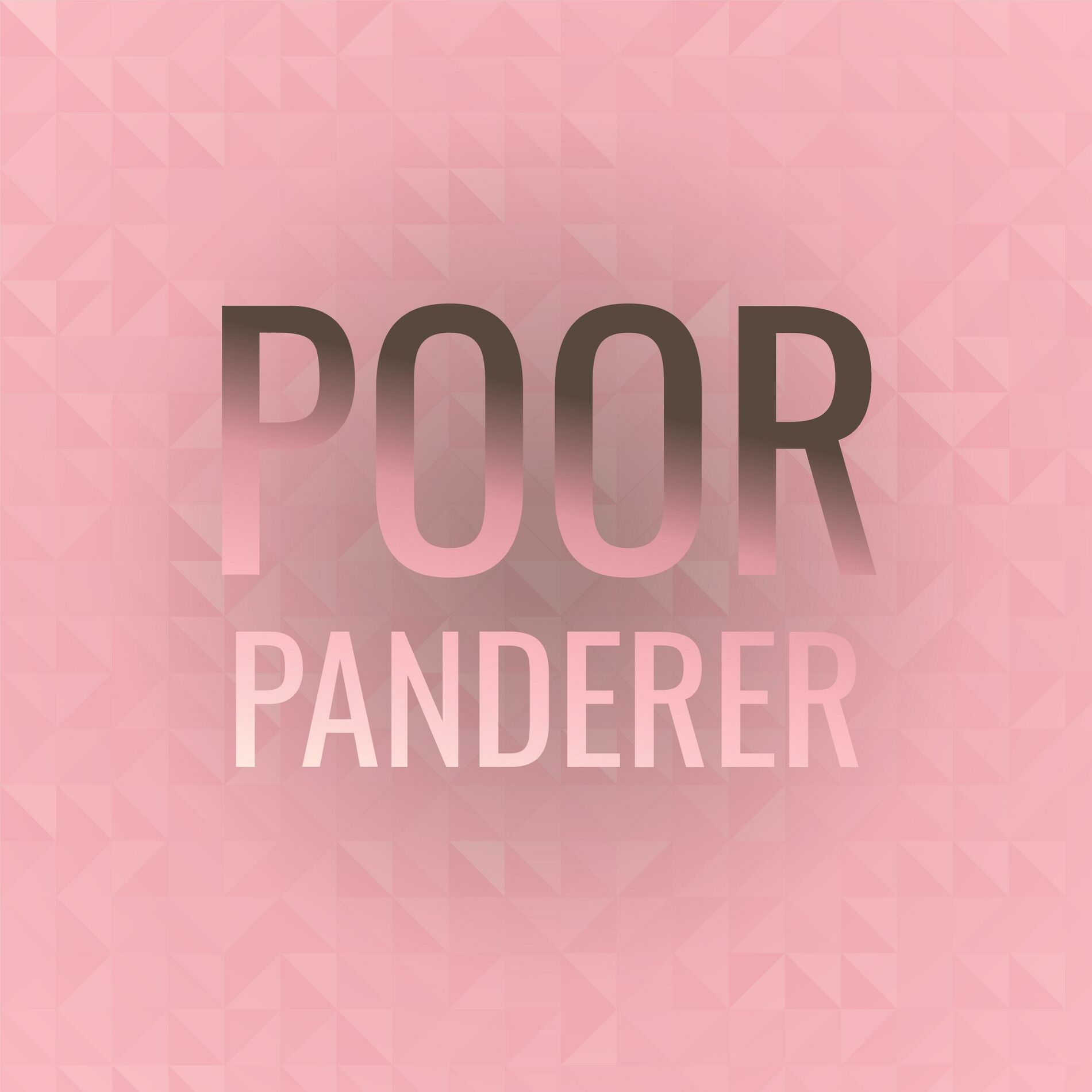 Album cover of Poor Panderer