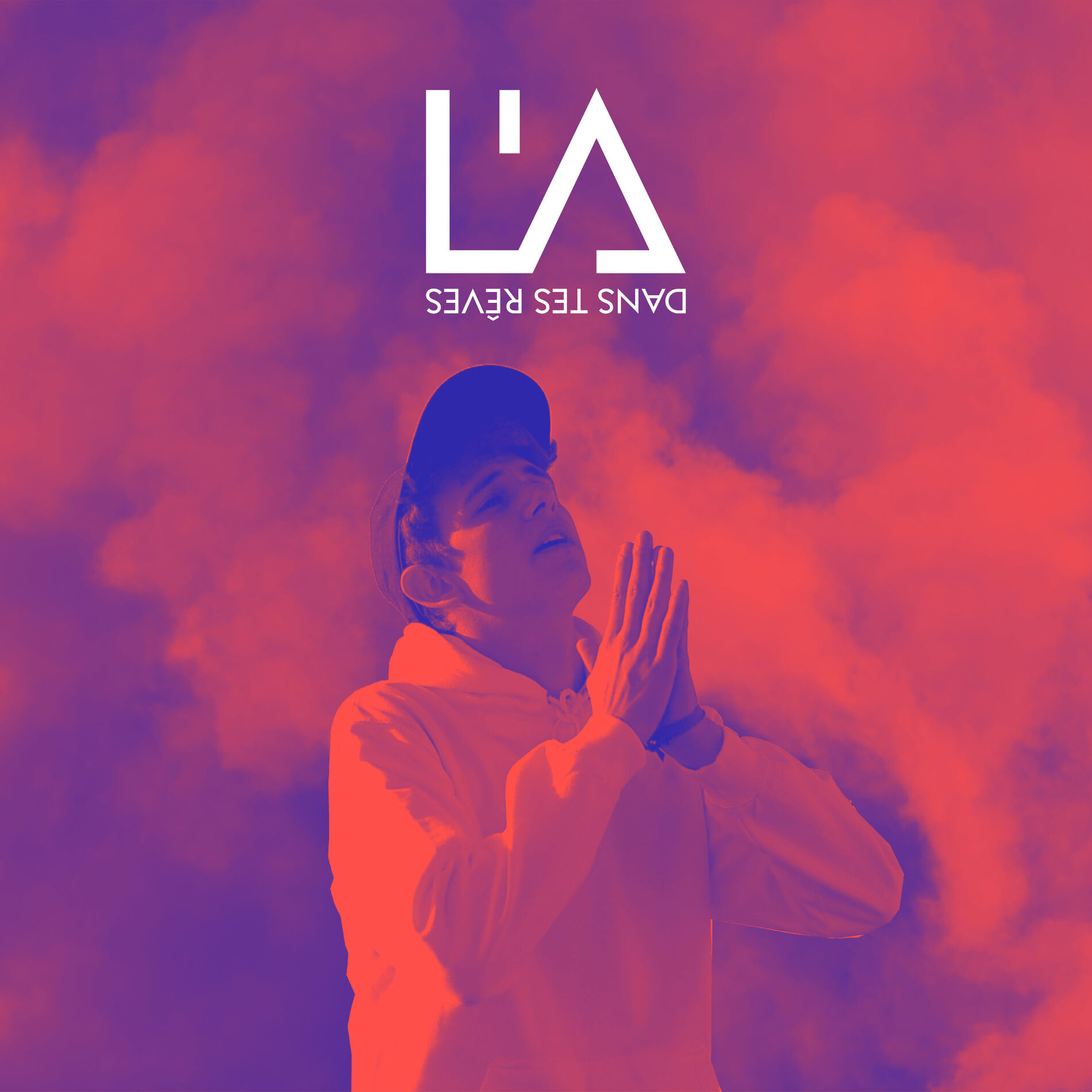 Album cover of Dans tes rêves