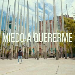 Cover of Miedo A Quererme