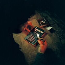 Cover of Night After Night
