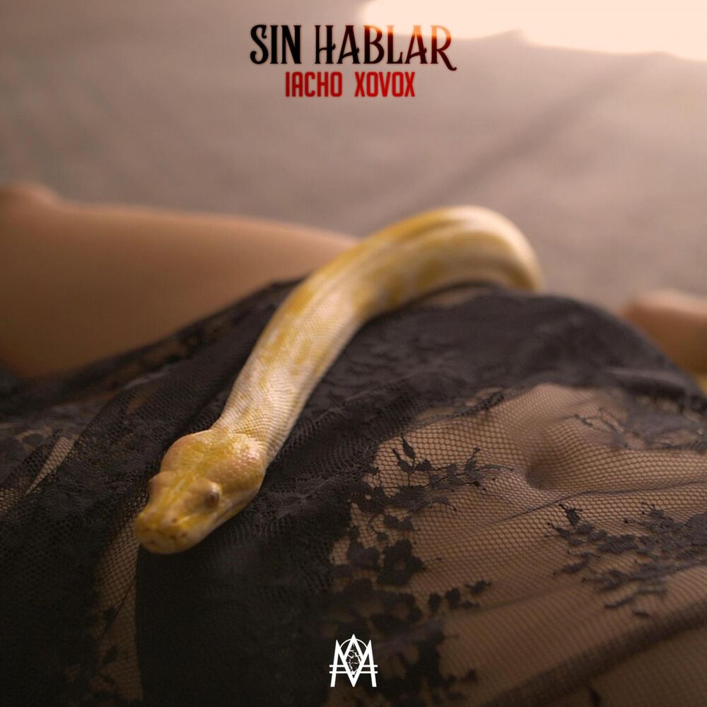 Picture of SIN HABLAR