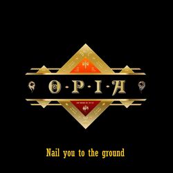 Cover of Nail you to the ground