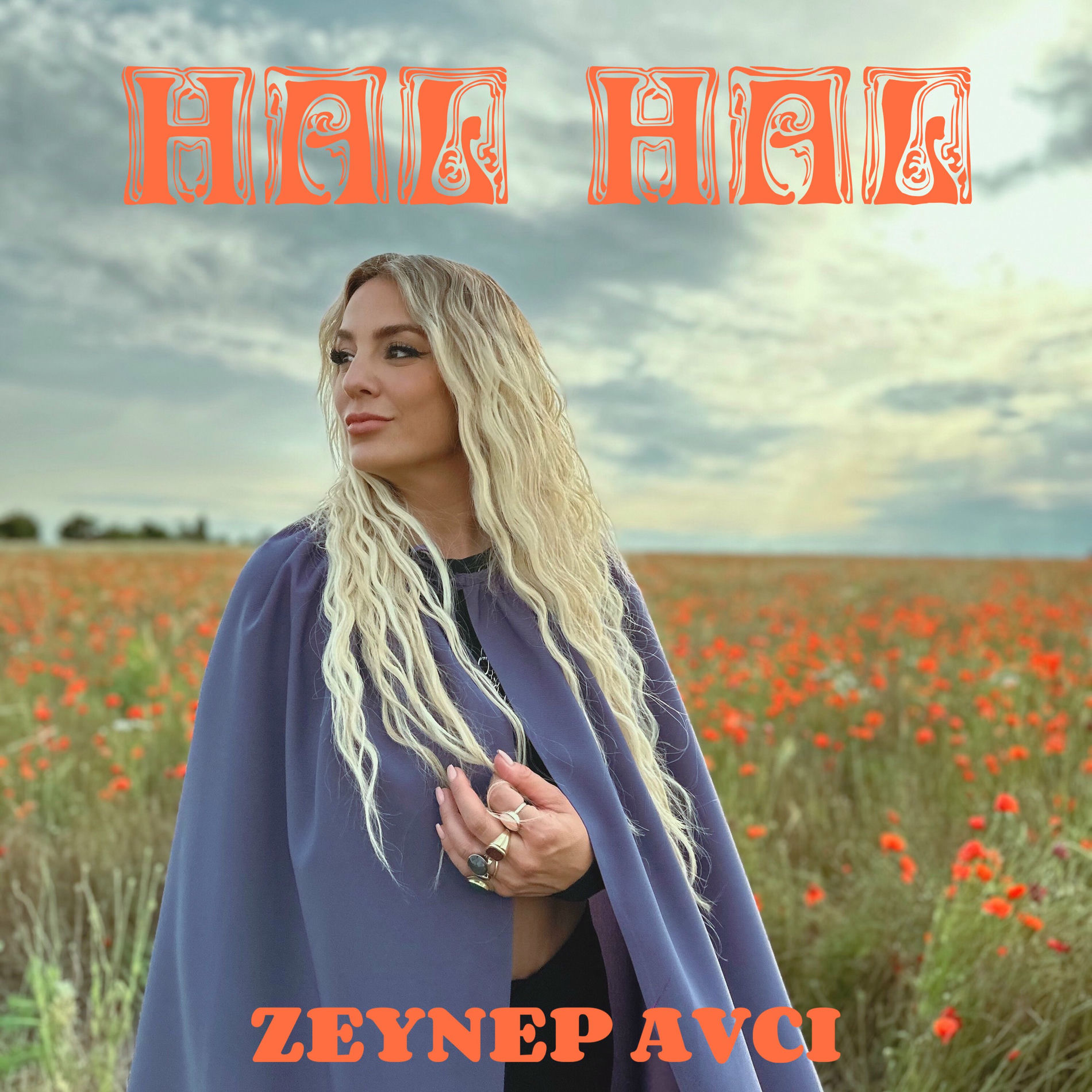 Album cover of Hal Hal