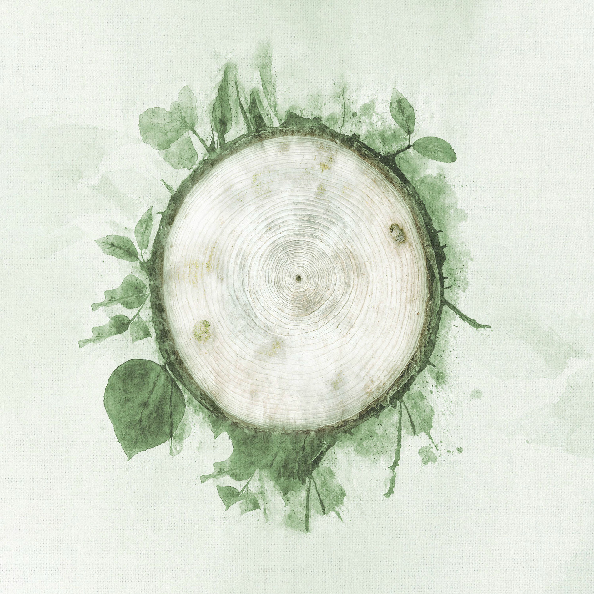 Album cover of Rebirth