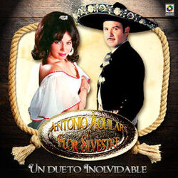 Cover of Un Dueto Inolvidable