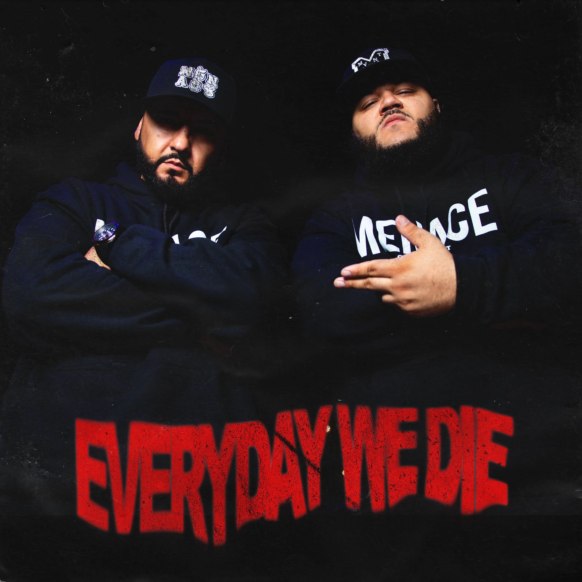 Album cover of EVERYDAY WE DIE (Deluxe Version)