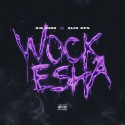 Cover of Wockesha