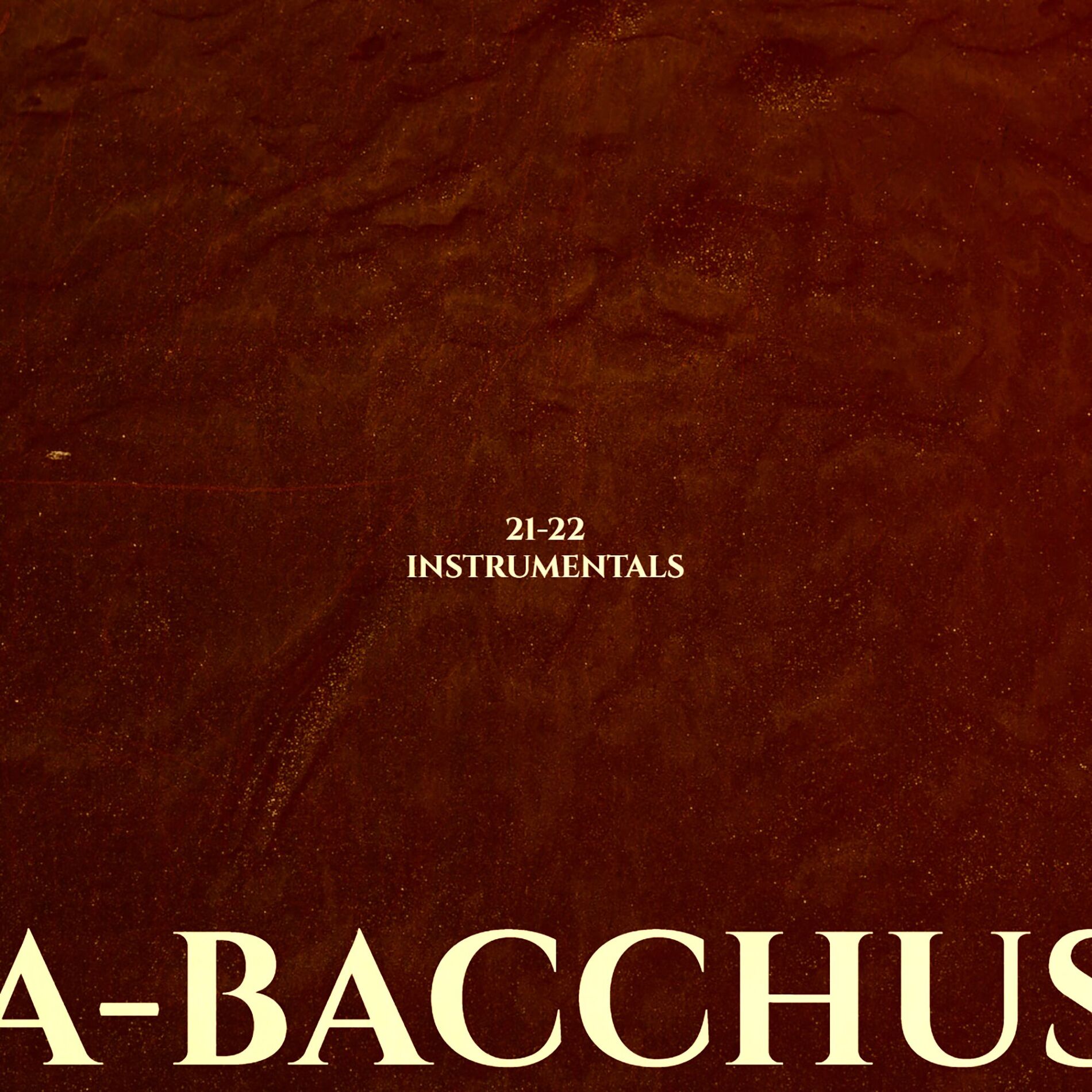 Album cover of 21-22 Instrumentals