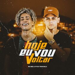Cover of Hoje Eu Vou Voltar