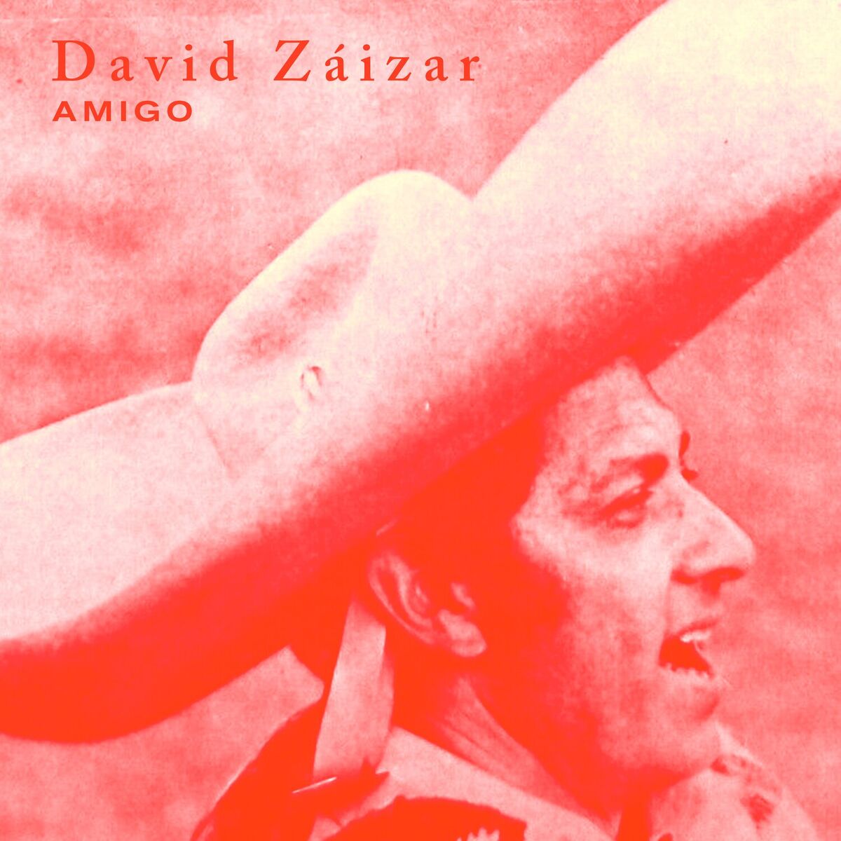 Album cover of Amigo