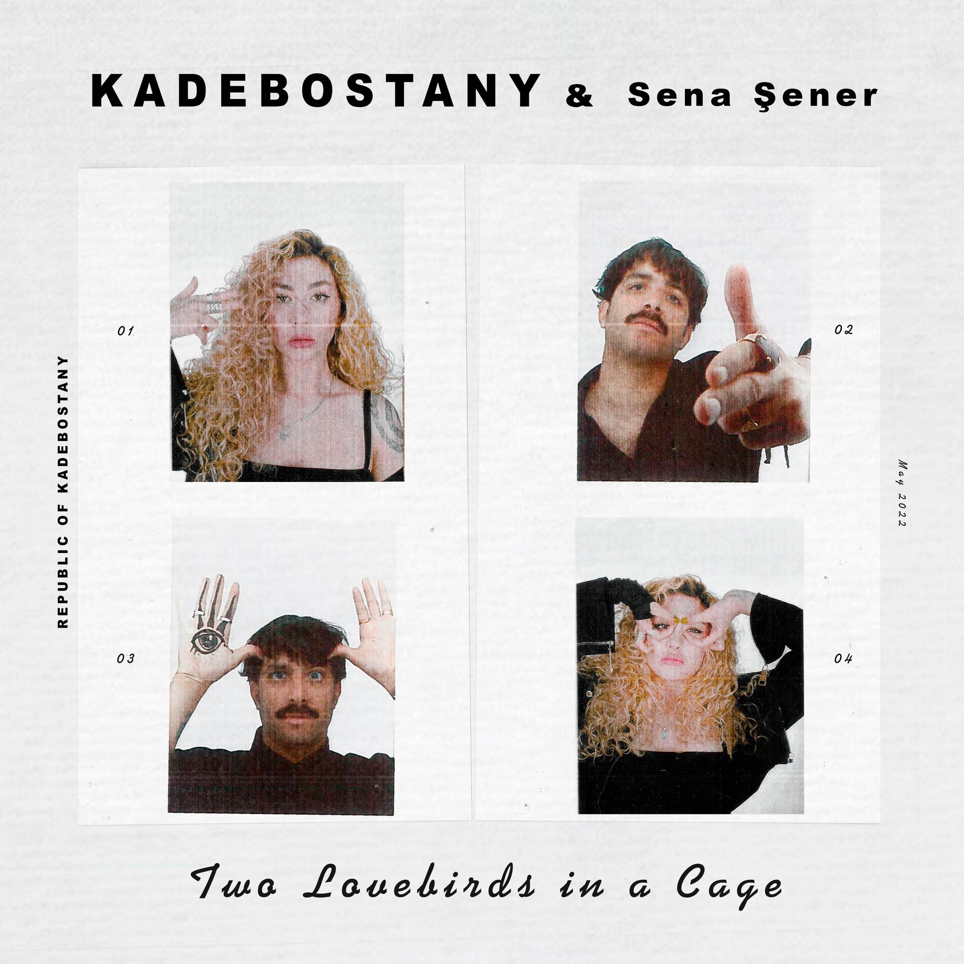 Album cover of Two Lovebirds in a Cage