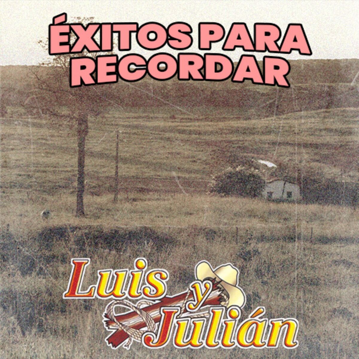Album cover of Éxitos para Recordar