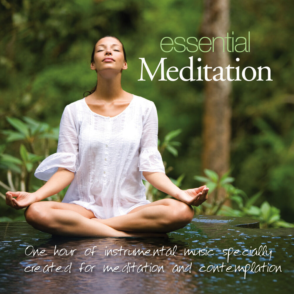 Picture of Essential Meditation