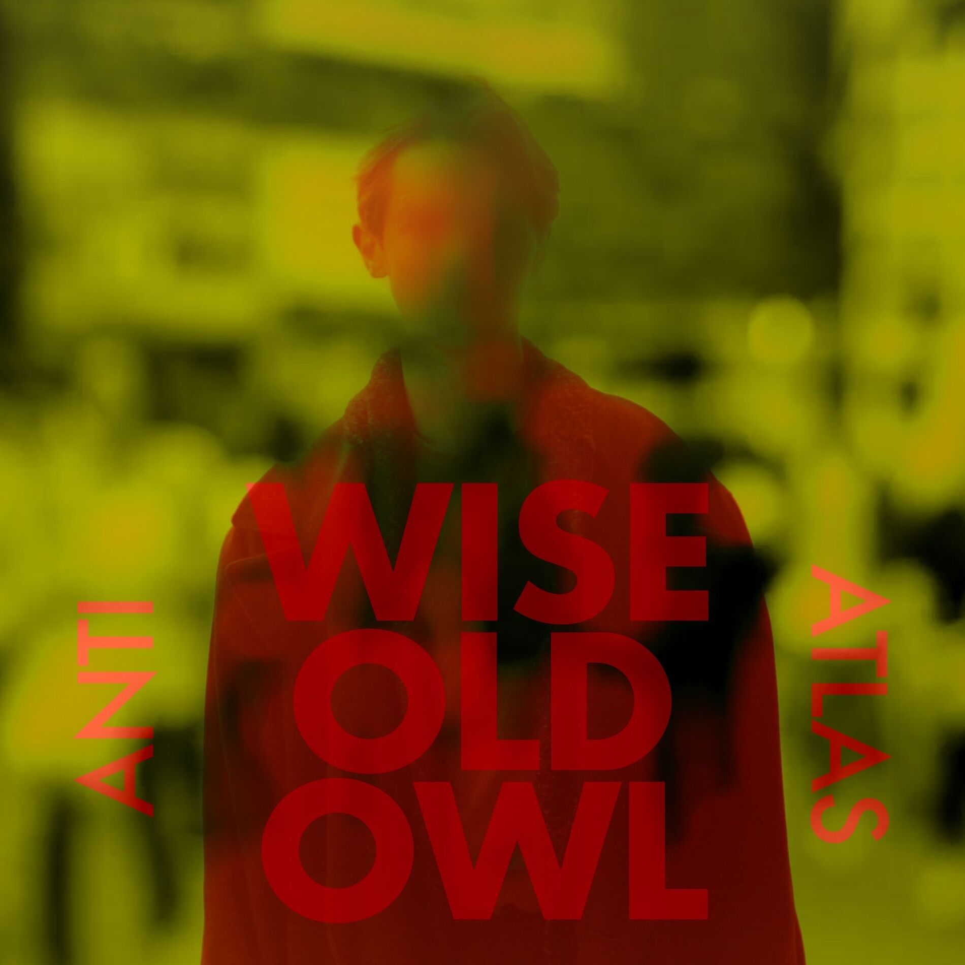 Album cover of Wise Old Owl