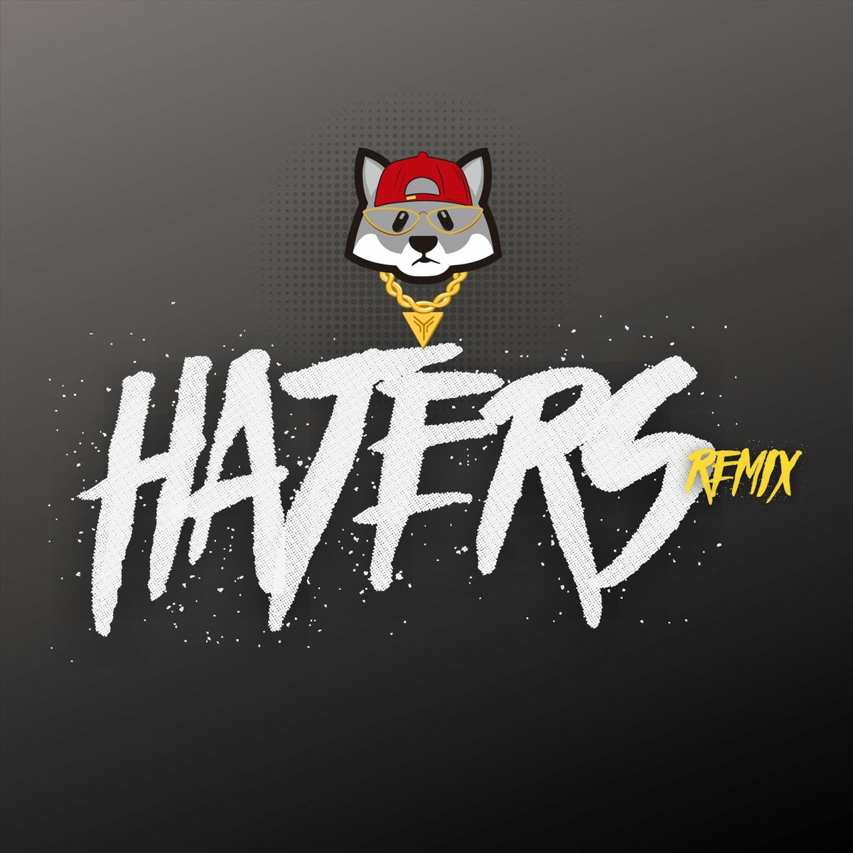 Album cover of Haters ( Remix )