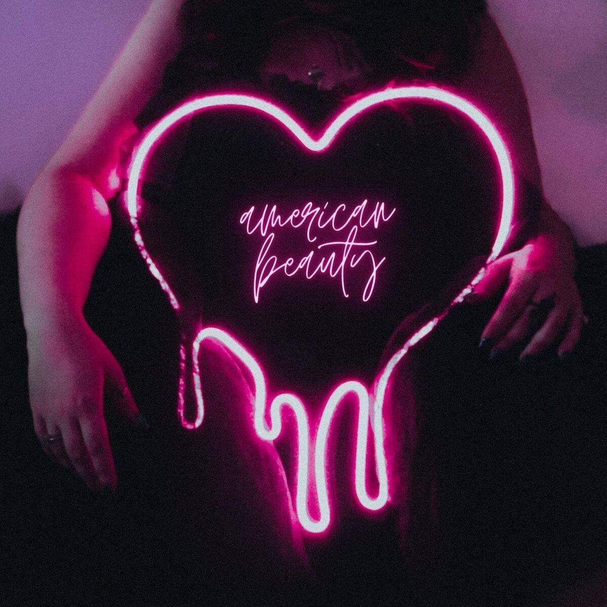 Album cover of American Beauty