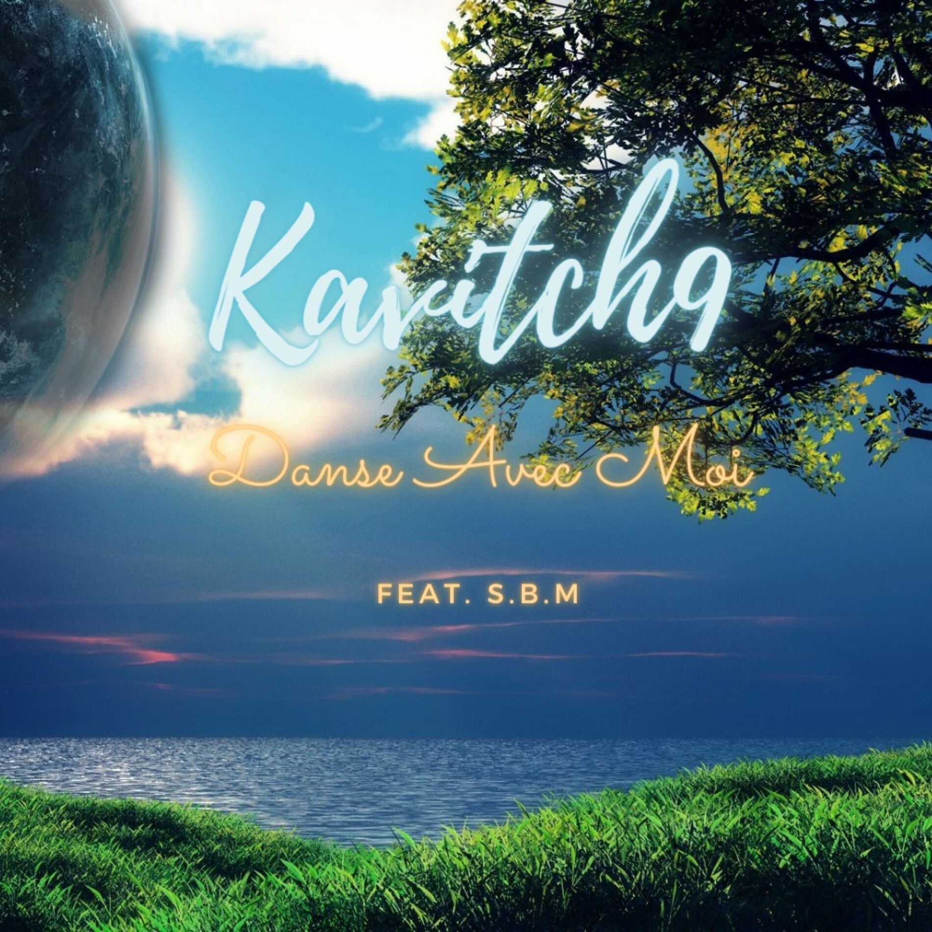 Album cover of Danse Avec Moi (feat. S.B.M.)