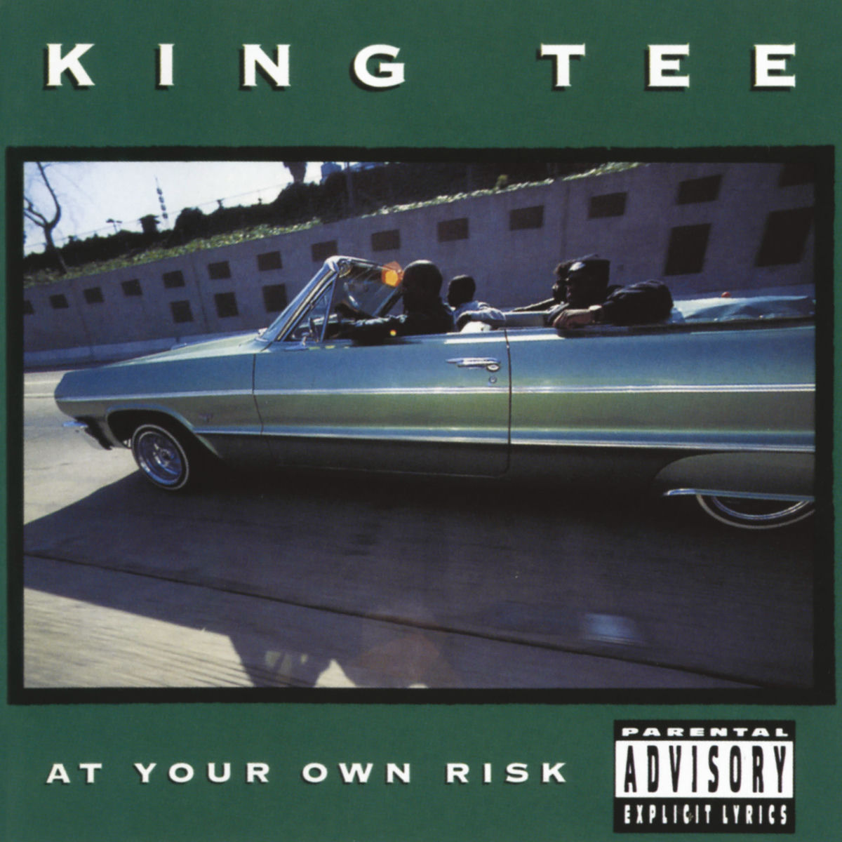 Album cover of At Your Own Risk