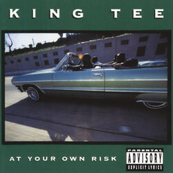 Cover of At Your Own Risk