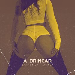 Cover of A brincar