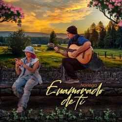 Cover of Enamorado de Ti