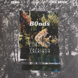 Cover of Phantom Versions