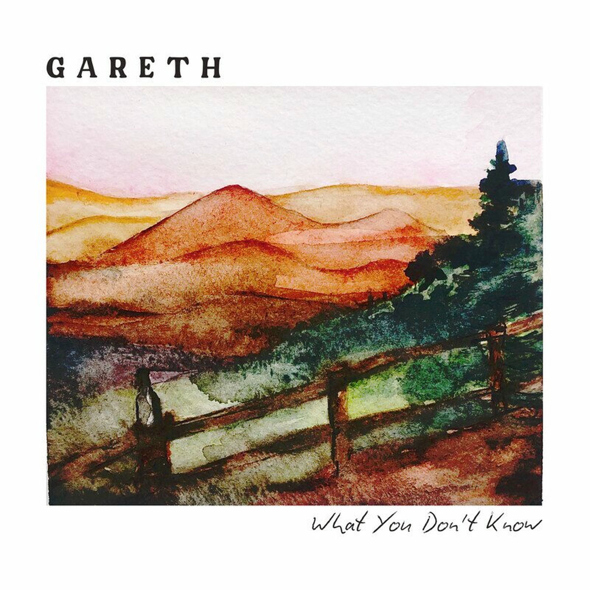 Album cover of What You Don't Know