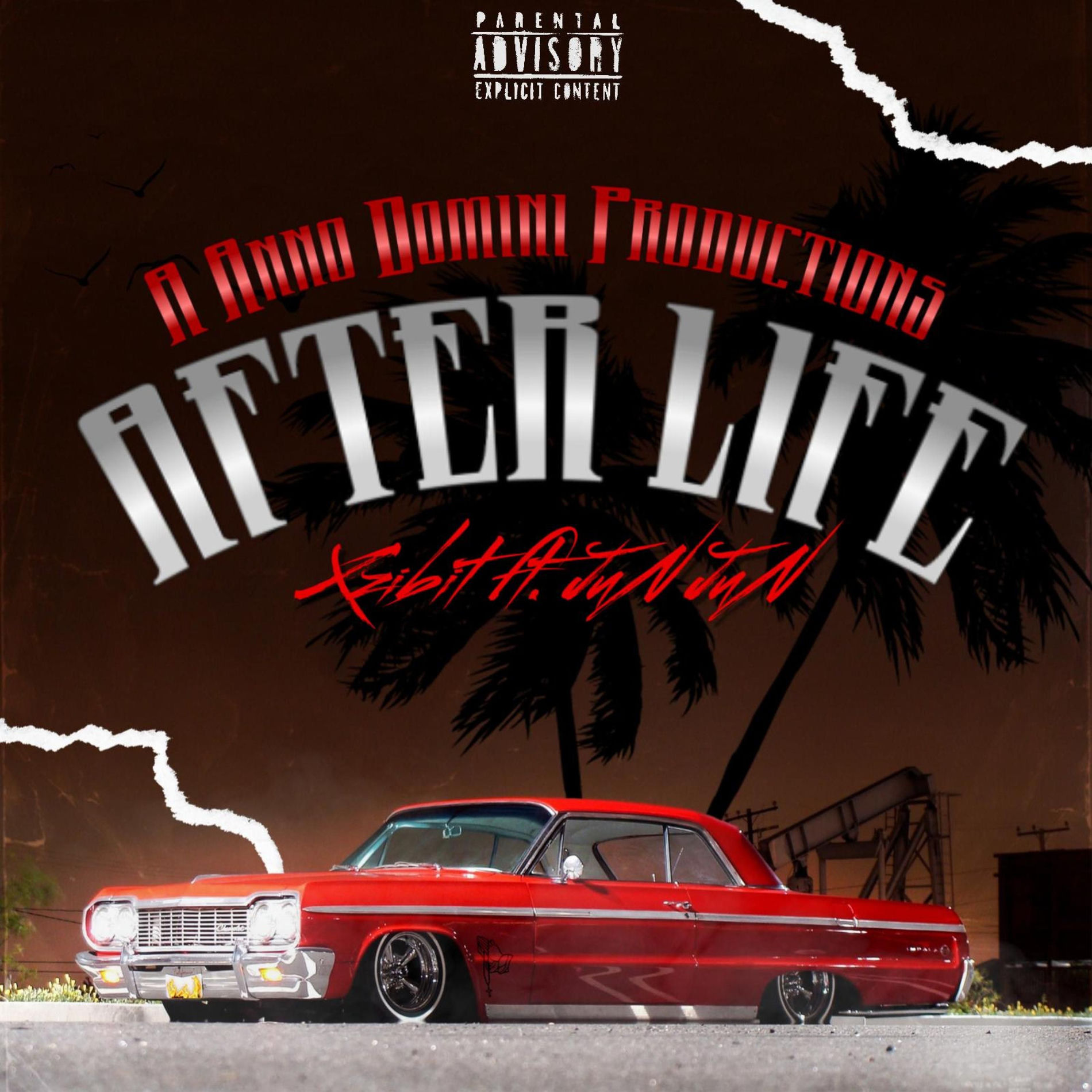 Album cover of AfterLife (feat. Xzibit)