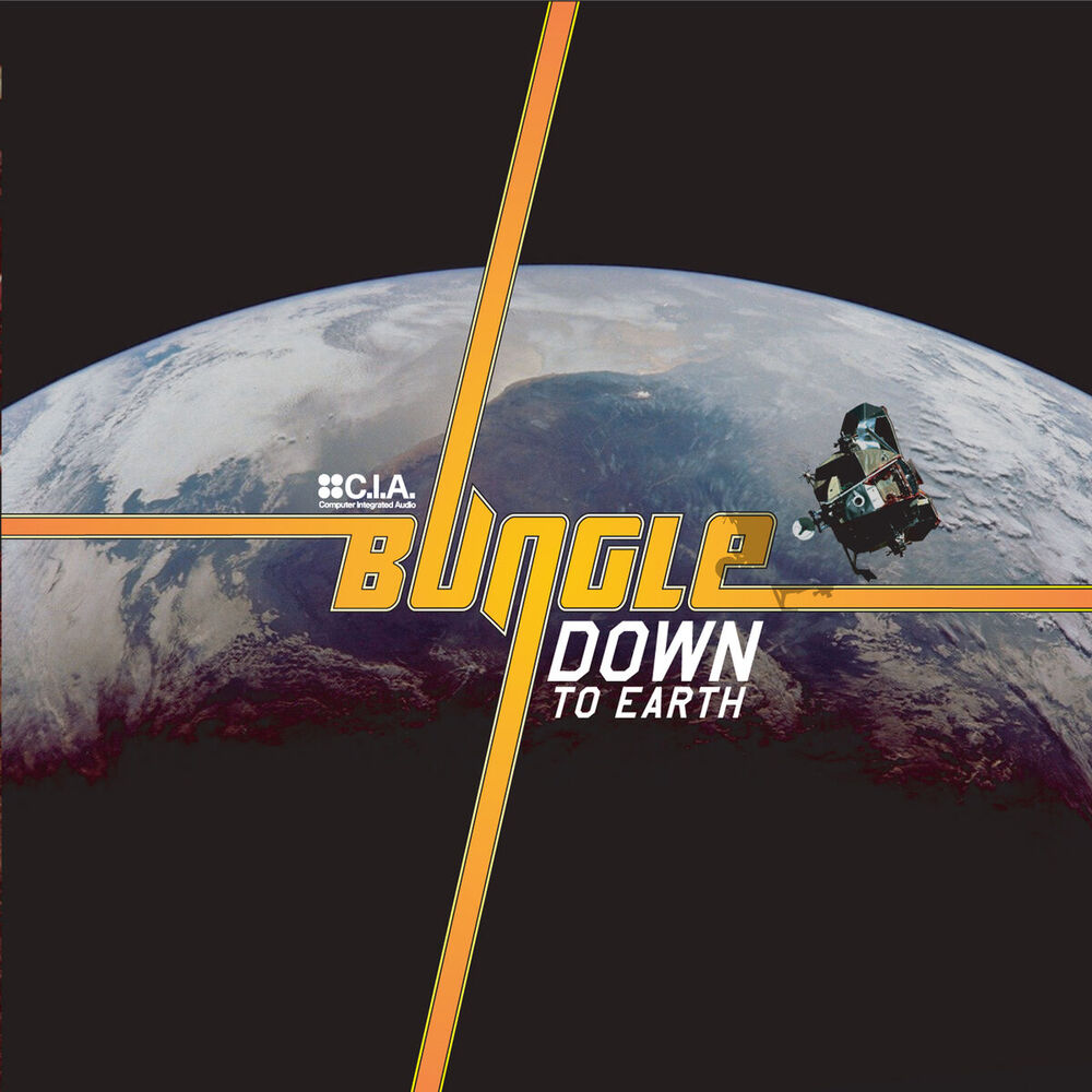 Picture of Down to Earth