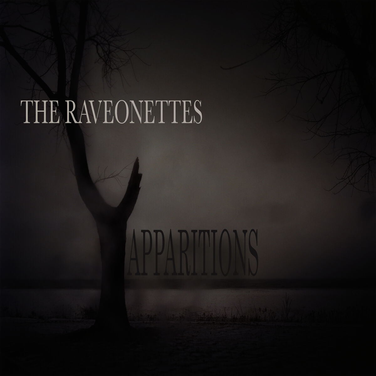 Album cover of Into The Night