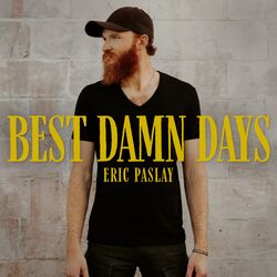 Cover of Best Damn Days