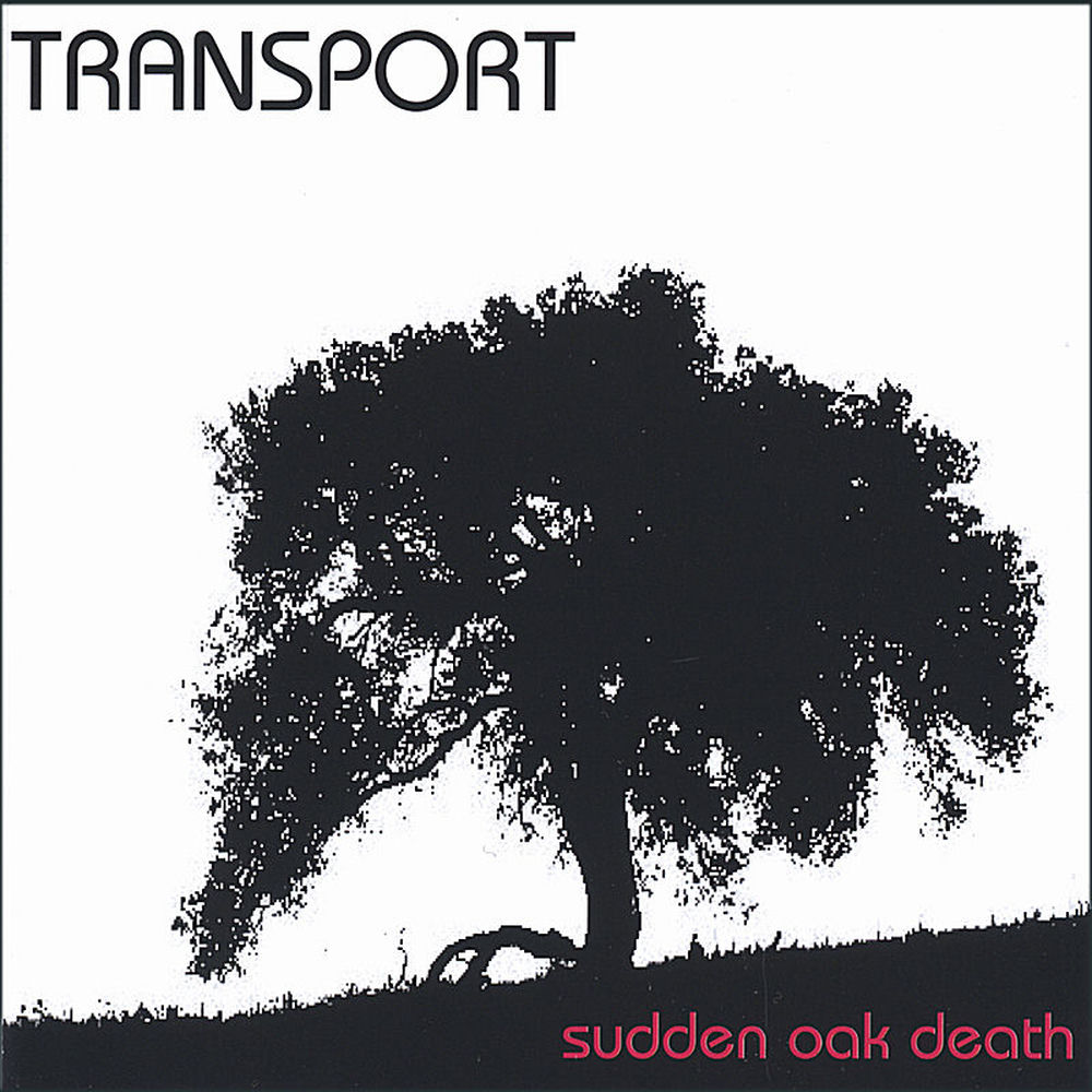 Album artwork for M Theory by Transport