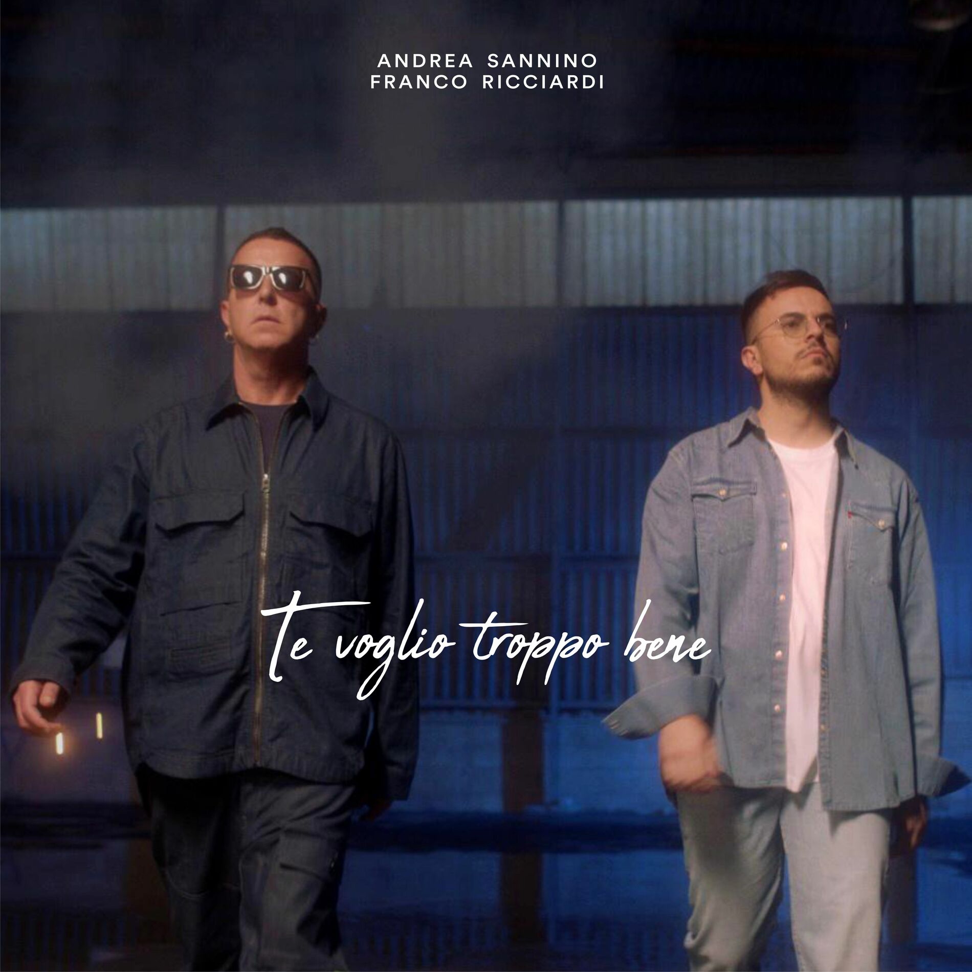 Album cover of Te voglio troppo bene