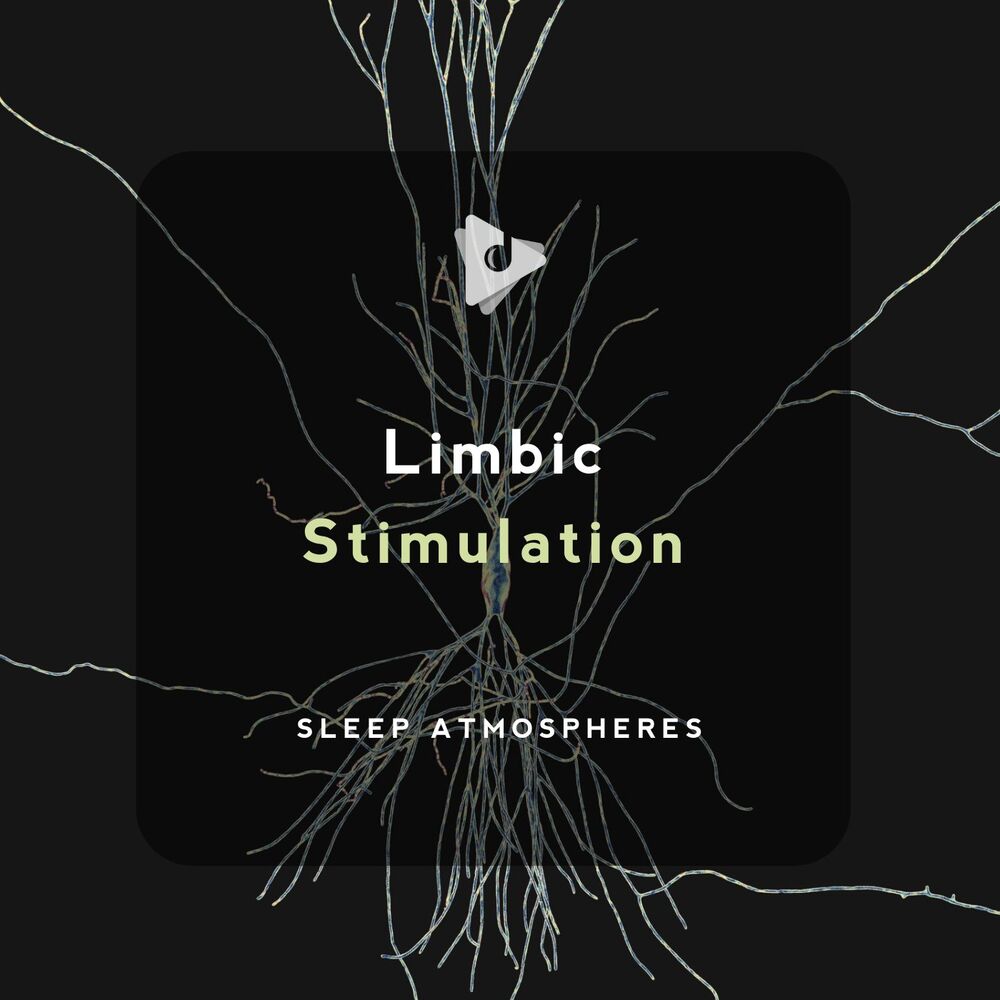Picture of Limbic Stimulation